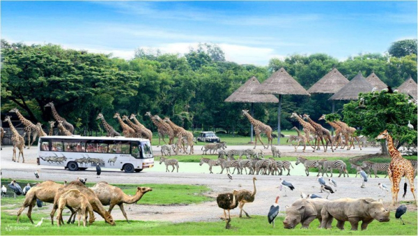 Safari World & Marine Park Bangkok Có Hợp Gia Đình? Giá Vé, Các Show, Đi 1 Ngày Có Đủ Không