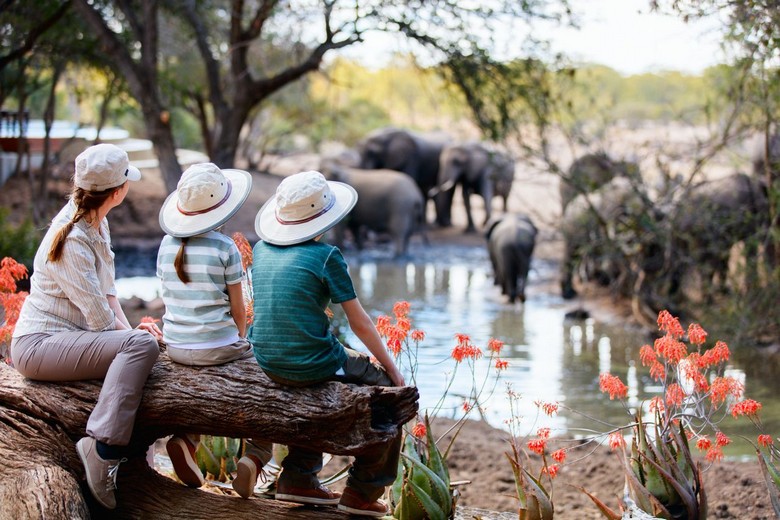 Gia đình nhiều thế hệ tham quan khu Marine Park Safari World