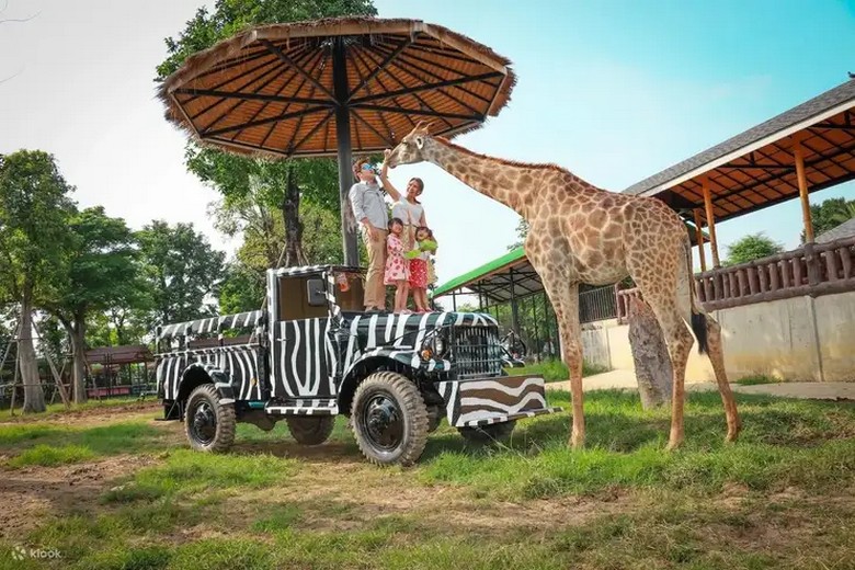 Hươu cao cổ đến gần xe trong khu Safari Park ở Safari World Bangkok