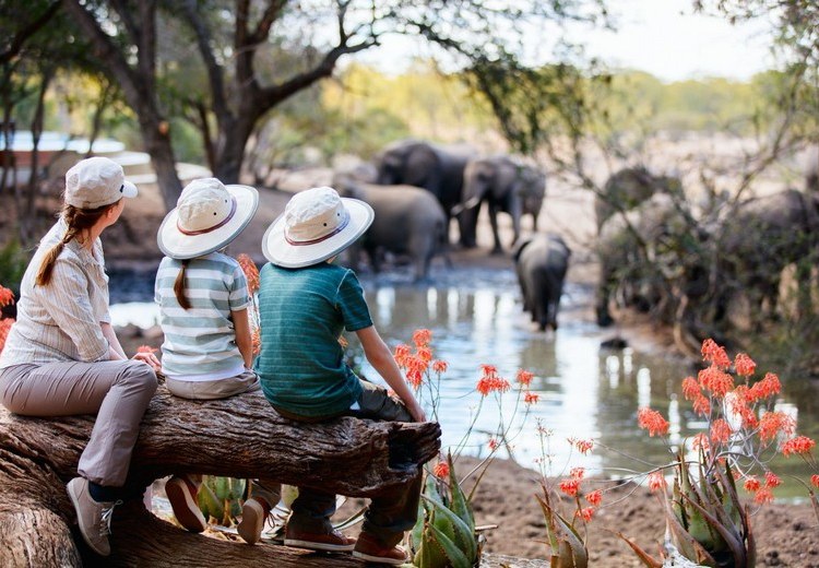 Gia đình nhiều thế hệ tham quan khu Marine Park Safari World