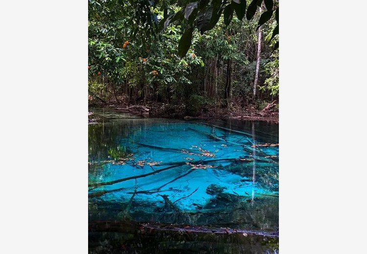 Hồ Blue Pool màu xanh lam đậm cấm tắm ở Krabi