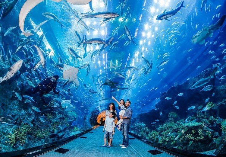 Thủy cung SEA LIFE Bangkok Ocean World tại Siam Paragon